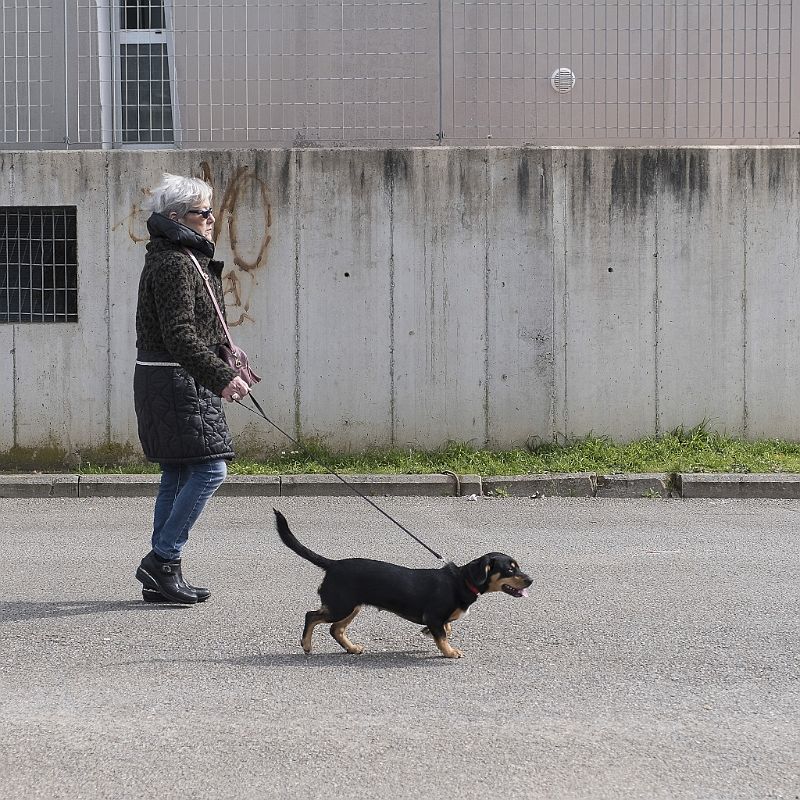 Walking with my dog (7).JPG